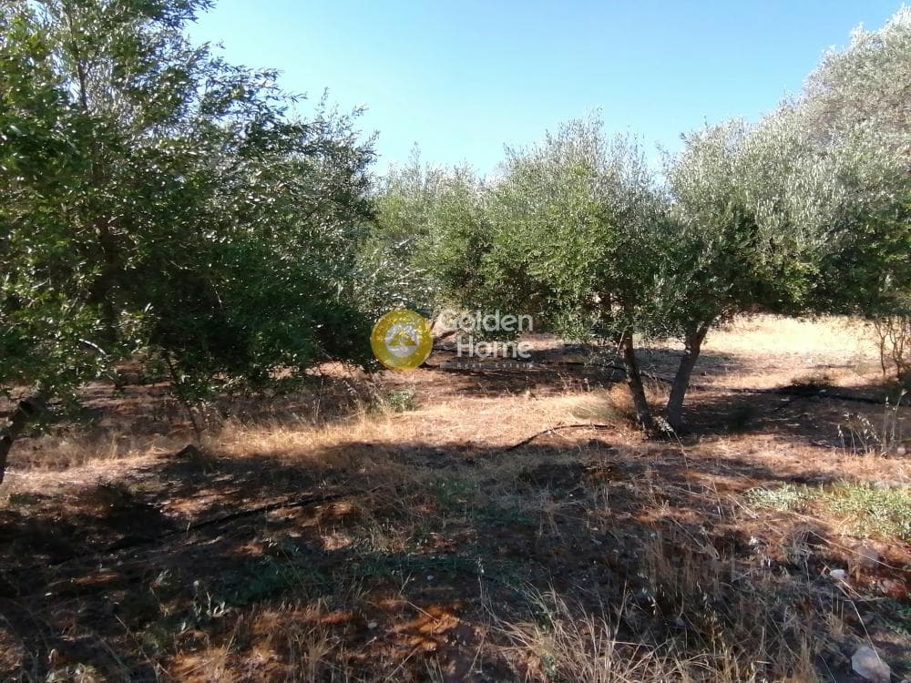 Building Plot in Kouses, Moires — Photo 15 of 16