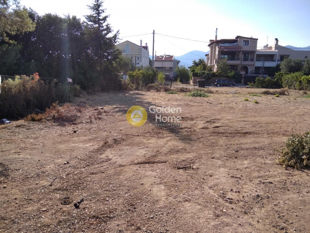 Building Plot in Adames Oikismos Grammos - Foinikas, Kifisia — Photo 2 of 6