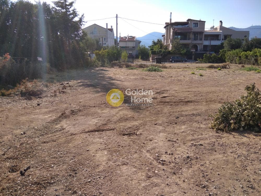 Building Plot in Adames Oikismos Grammos - Foinikas, Kifisia — Photo 5 of 6