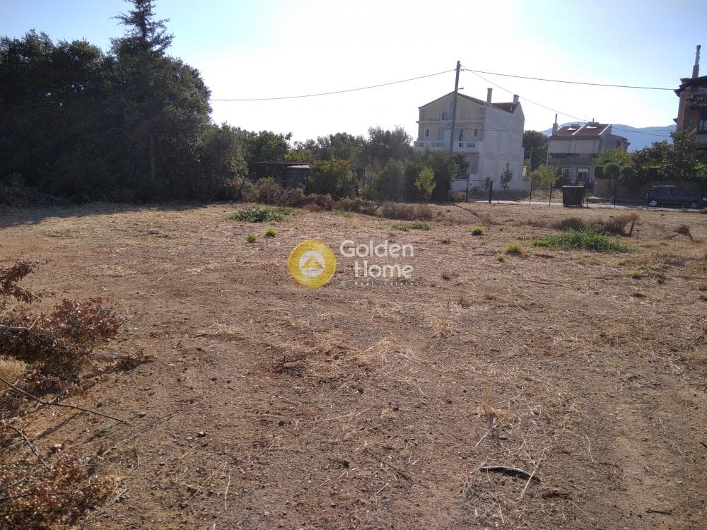 Building Plot in Adames Oikismos Grammos - Foinikas, Kifisia — Photo 6 of 6
