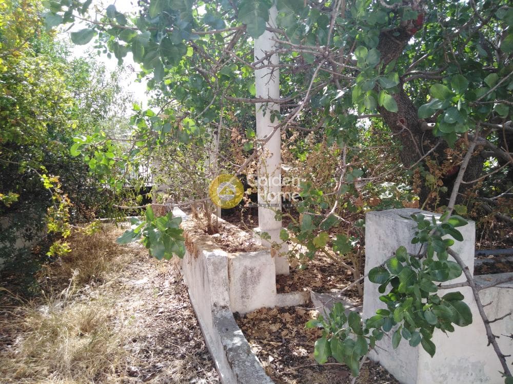 Building Plot in Selinia, Abelakia — Photo 1 of 2