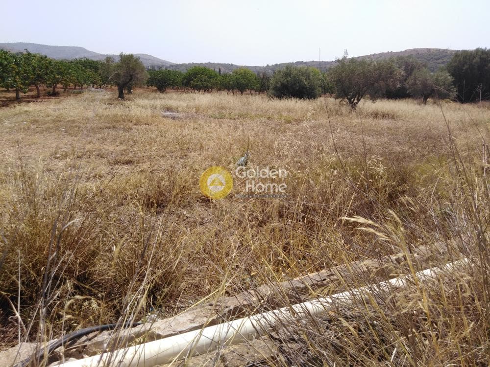 Parcel in Vromopousi, Salamina — Photo 1 of 2