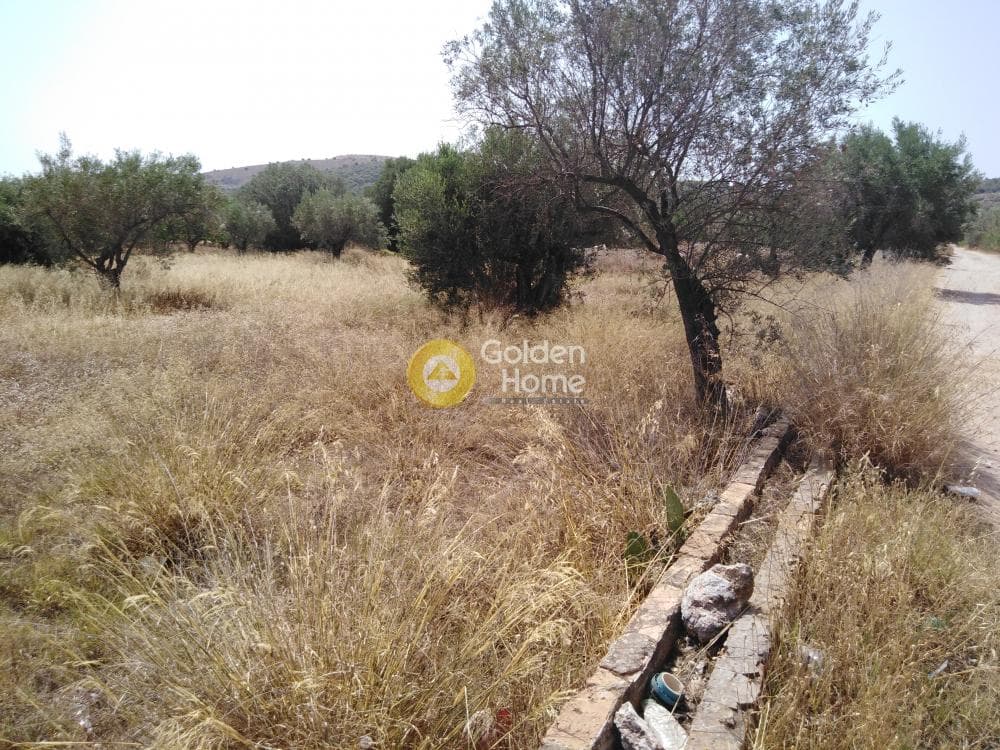 Parcel in Vromopousi, Salamina — Photo 2 of 2