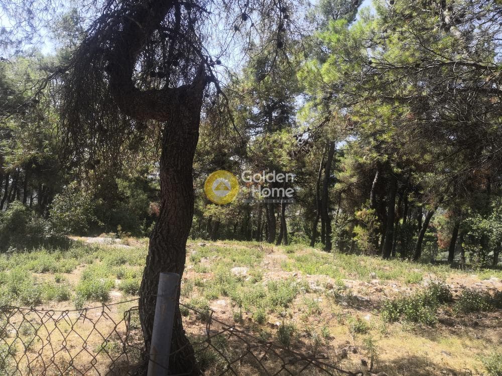 Building Plot in Efxinos Pontos, Stamata — Photo 1 of 4