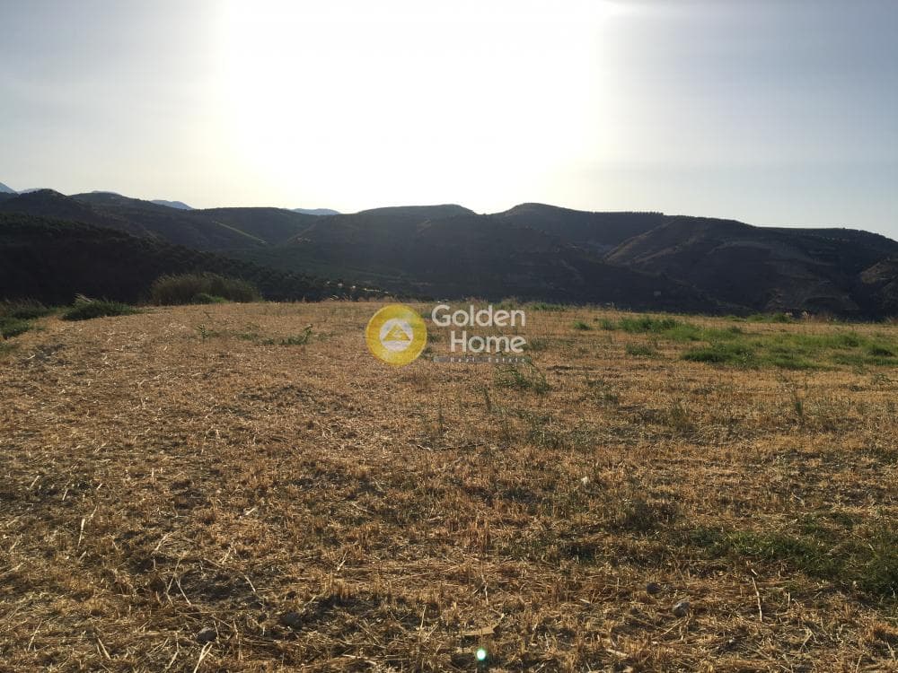 Building Plot in Agios Sillas, Archanes — Photo 4 of 23