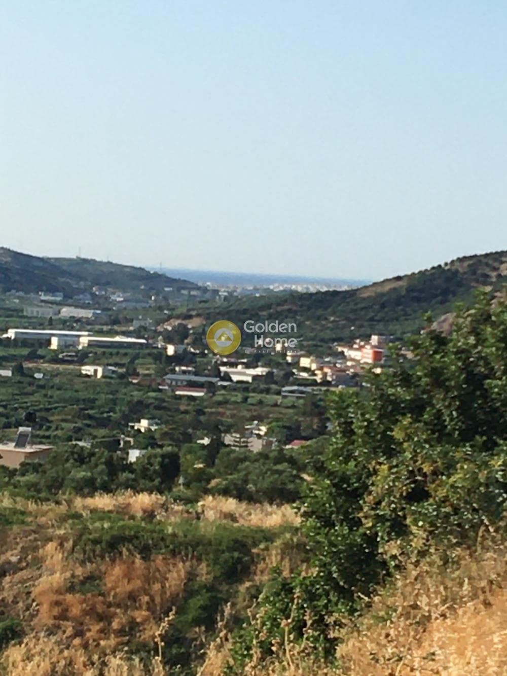 Building Plot in Agios Sillas, Archanes — Photo 8 of 23