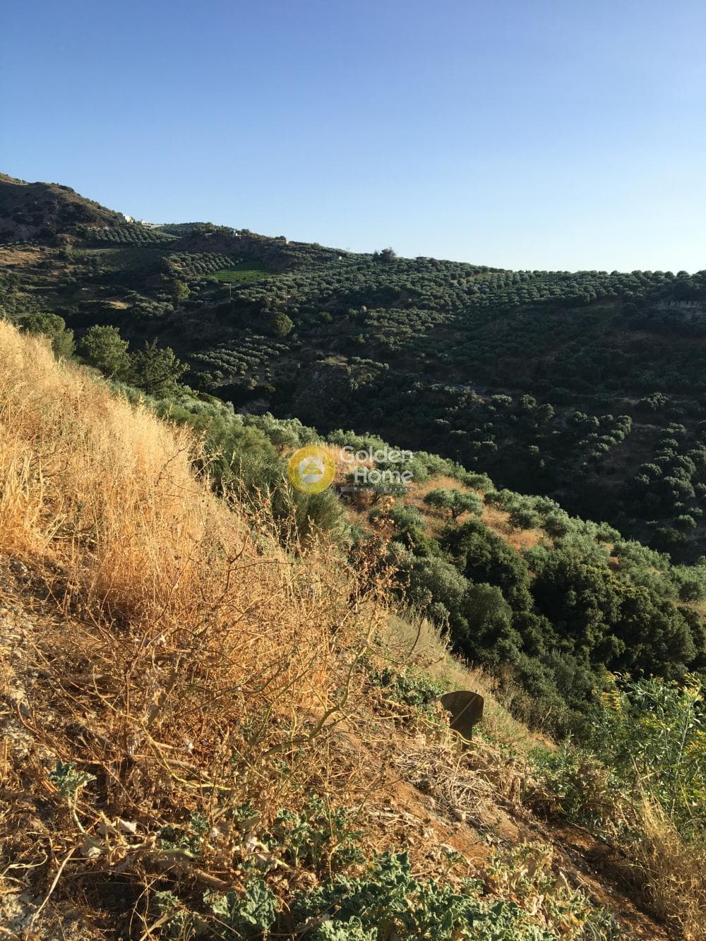 Building Plot in Agios Sillas, Archanes — Photo 12 of 23