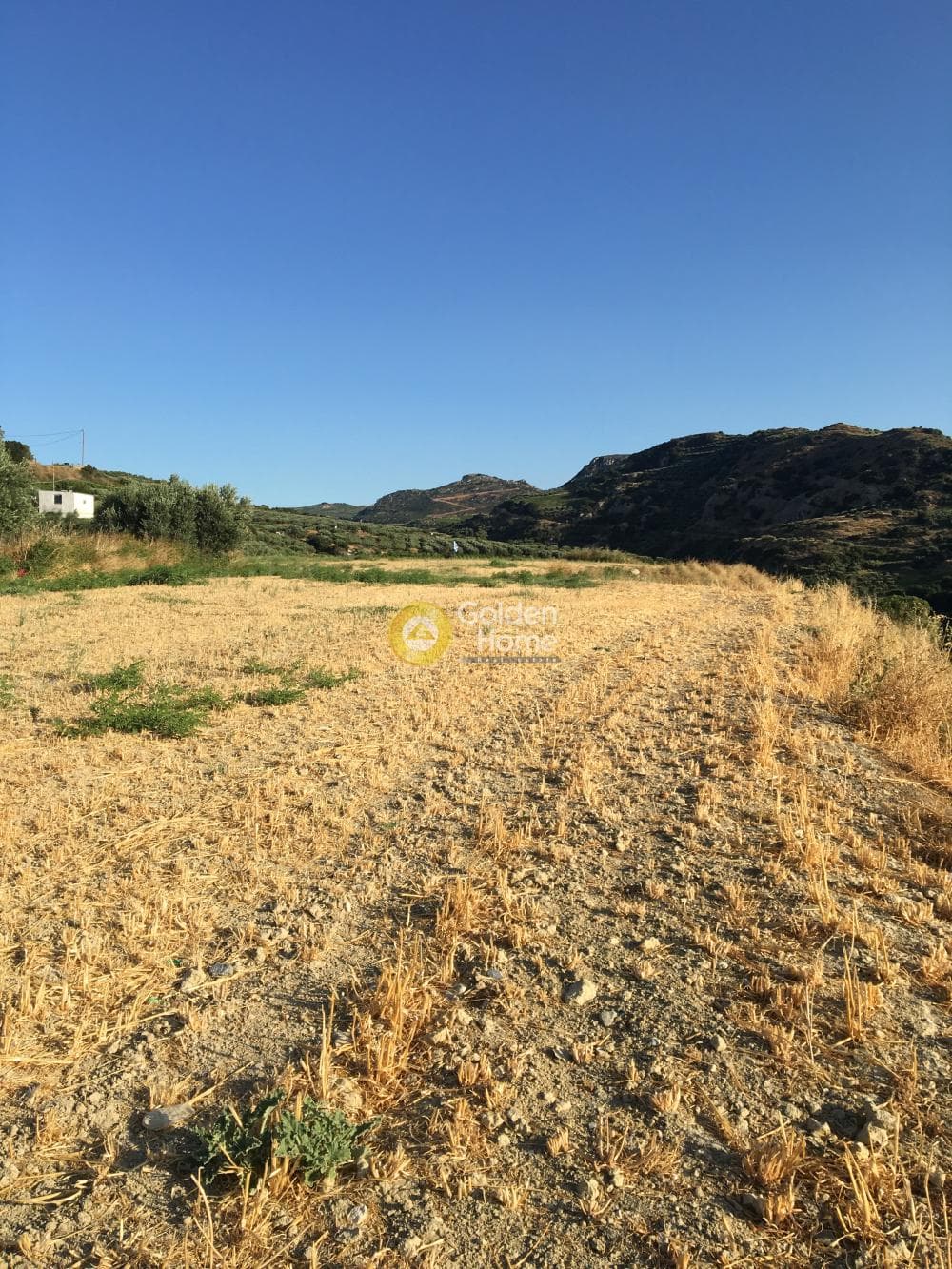 Building Plot in Agios Sillas, Archanes — Photo 17 of 23