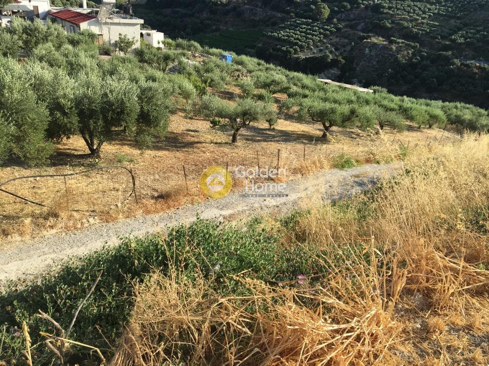 Building Plot in Agios Sillas, Archanes — Photo 10 of 23