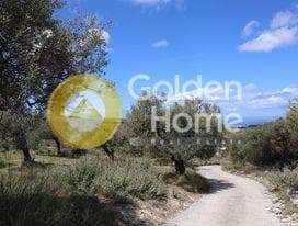 Αγροτεμάχιο στην Κέντρο, Γούβες — Φωτογραφία 1 από 2