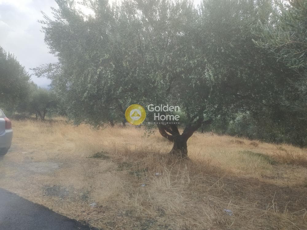 Οικόπεδο στην Άγιος Μύρωνας, Τετραχώρι — Φωτογραφία 3 από 7