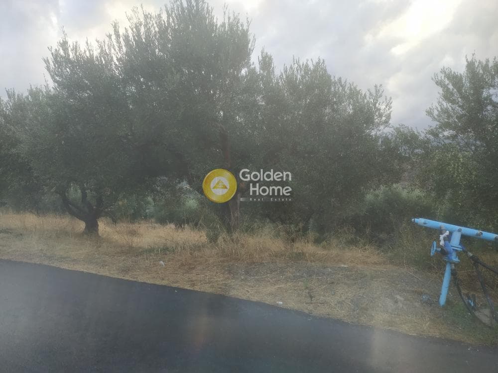 Οικόπεδο στην Άγιος Μύρωνας, Τετραχώρι — Φωτογραφία 4 από 7