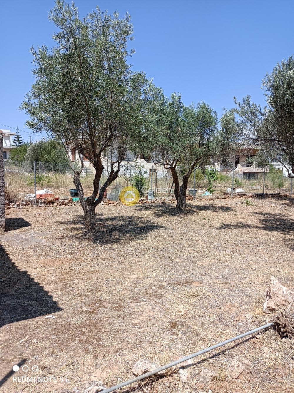 Οικόπεδο στην Βορινέζα, Αρτέμιδα (Λούτσα) — Φωτογραφία 5 από 6