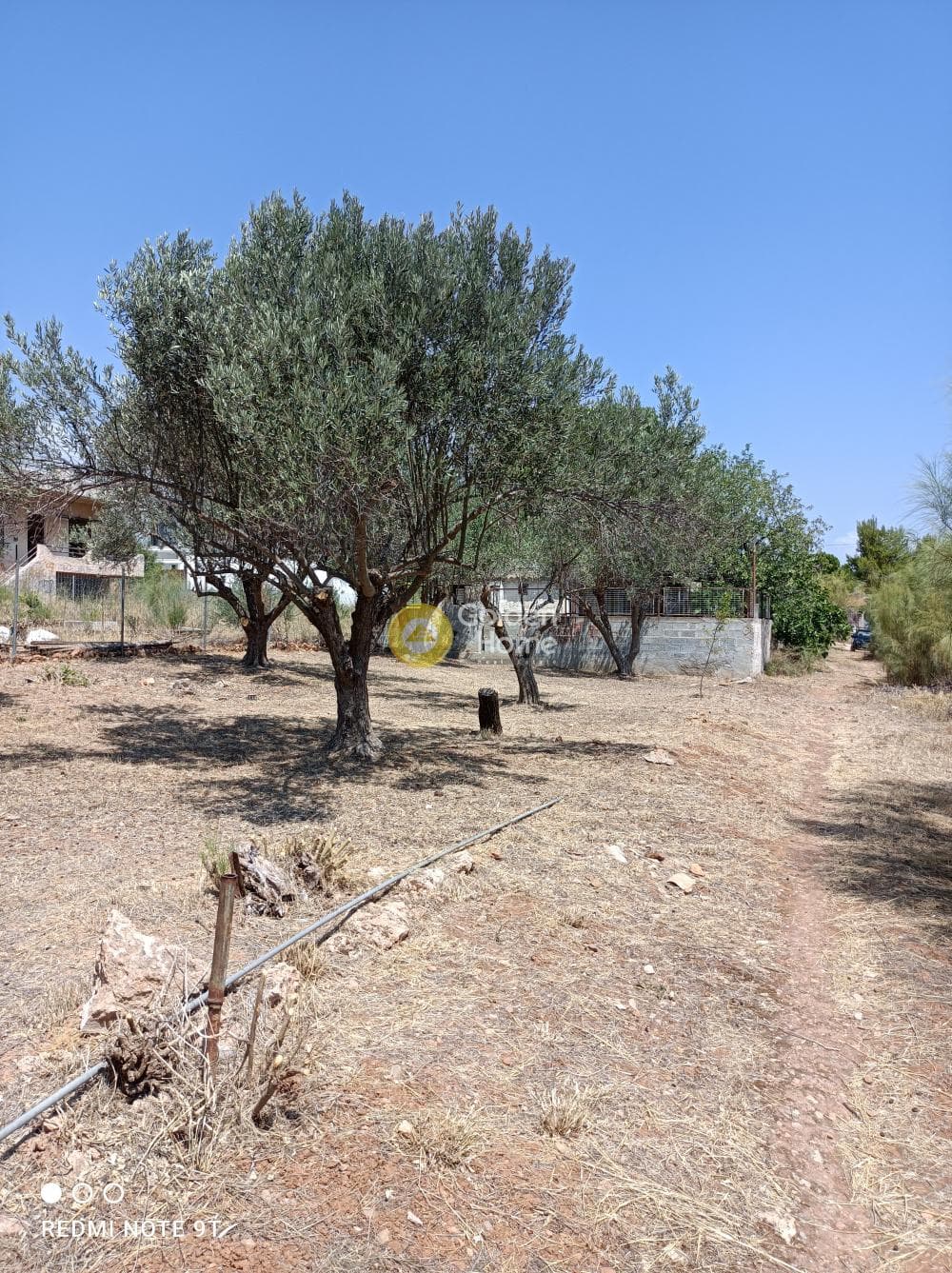Οικόπεδο στην Βορινέζα, Αρτέμιδα (Λούτσα) — Φωτογραφία 4 από 6