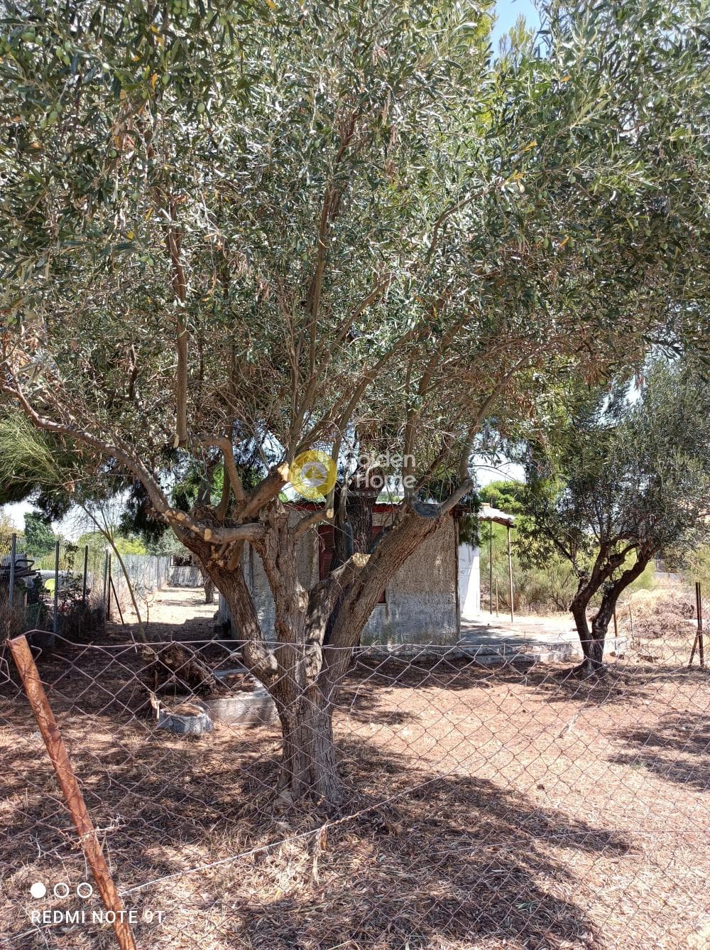 Οικόπεδο στην Βορινέζα, Αρτέμιδα (Λούτσα) — Φωτογραφία 6 από 6