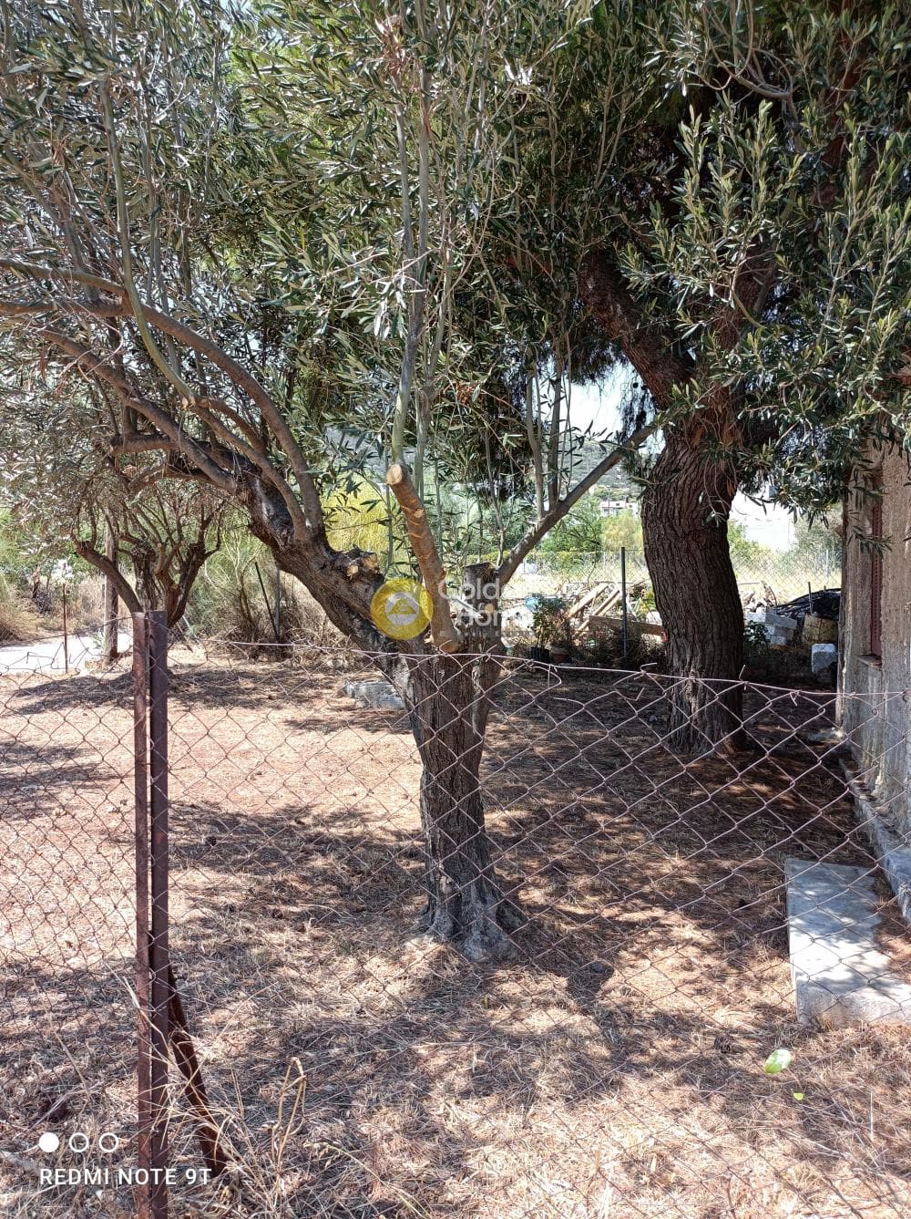 Οικόπεδο στην Βορινέζα, Αρτέμιδα (Λούτσα) — Φωτογραφία 3 από 6
