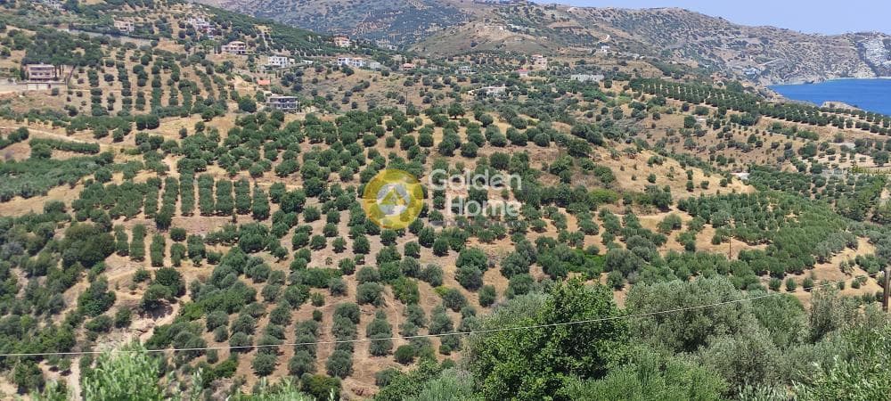 Οικόπεδο στην Καπετανάκι Μετόχι, Γάζι — Φωτογραφία 7 από 21