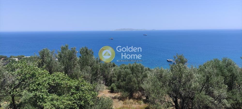 Οικόπεδο στην Καπετανάκι Μετόχι, Γάζι — Φωτογραφία 8 από 21