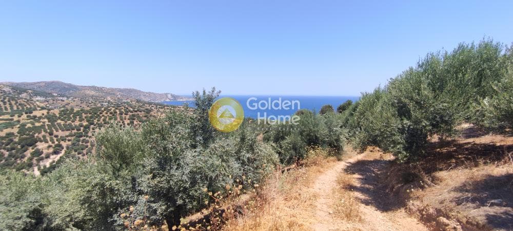 Οικόπεδο στην Καπετανάκι Μετόχι, Γάζι — Φωτογραφία 9 από 21