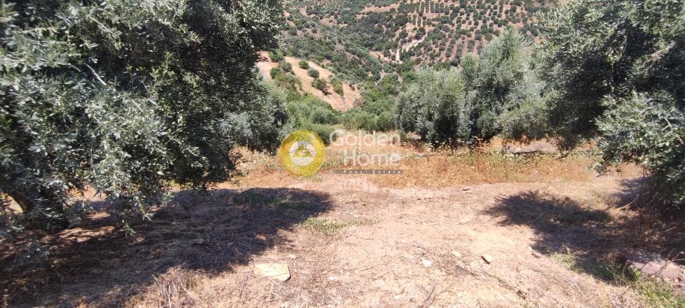 Οικόπεδο στην Καπετανάκι Μετόχι, Γάζι — Φωτογραφία 11 από 21