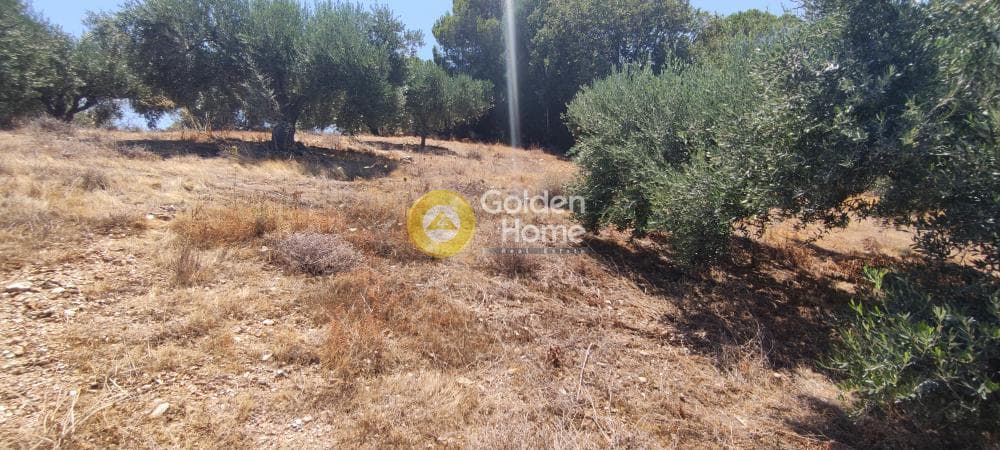 Οικόπεδο στην Καπετανάκι Μετόχι, Γάζι — Φωτογραφία 12 από 21