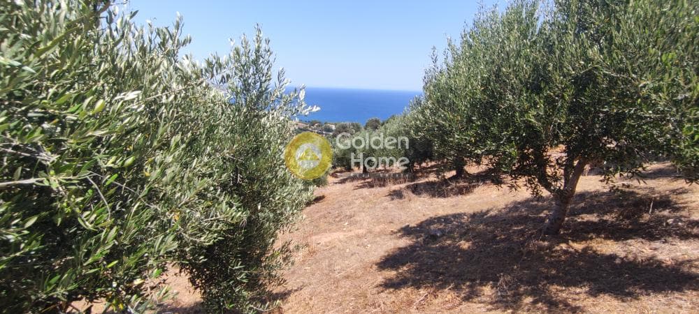 Οικόπεδο στην Καπετανάκι Μετόχι, Γάζι — Φωτογραφία 13 από 21