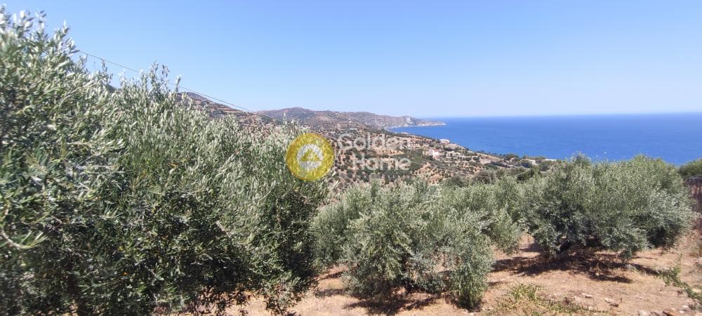 Οικόπεδο στην Καπετανάκι Μετόχι, Γάζι — Φωτογραφία 16 από 21