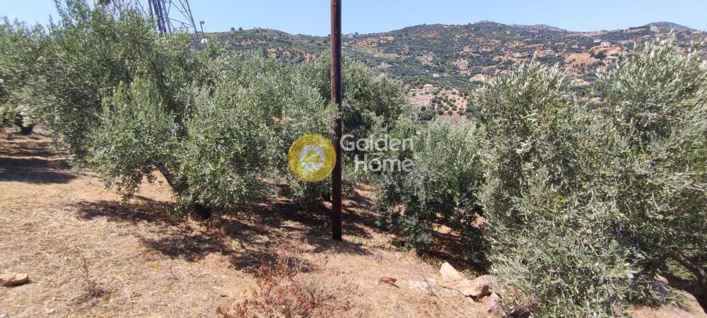 Οικόπεδο στην Καπετανάκι Μετόχι, Γάζι — Φωτογραφία 18 από 21