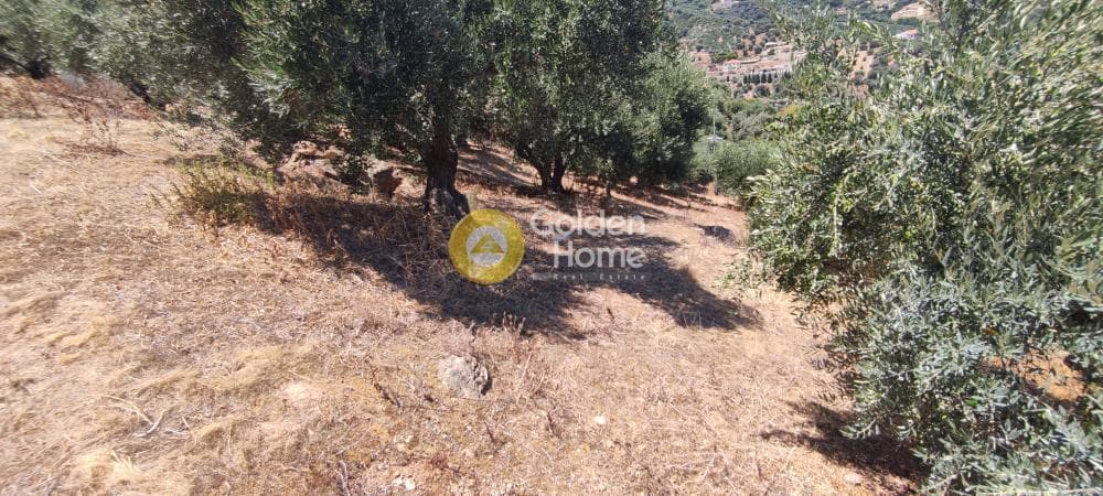 Οικόπεδο στην Καπετανάκι Μετόχι, Γάζι — Φωτογραφία 19 από 21