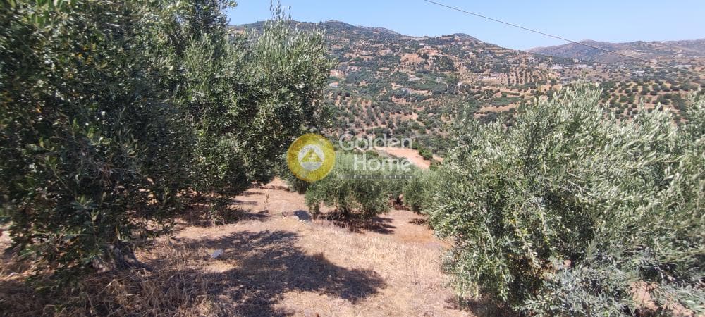Οικόπεδο στην Καπετανάκι Μετόχι, Γάζι — Φωτογραφία 20 από 21