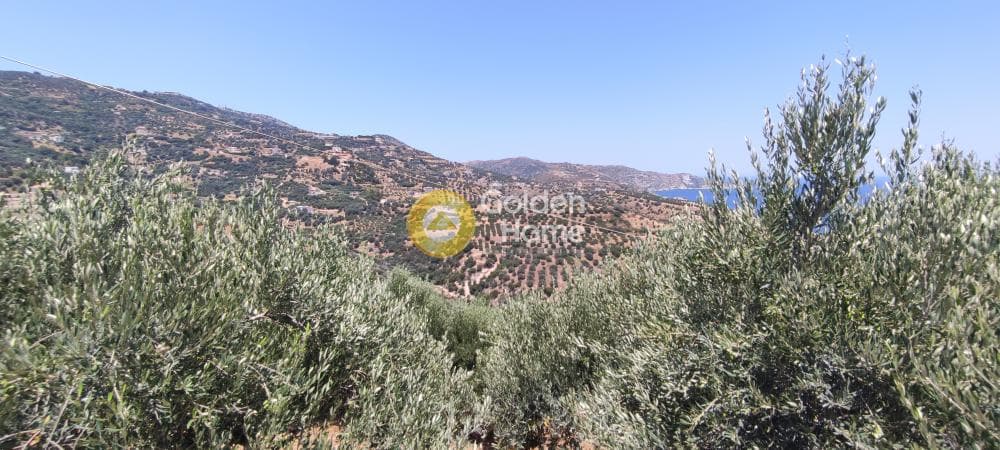 Οικόπεδο στην Καπετανάκι Μετόχι, Γάζι — Φωτογραφία 21 από 21