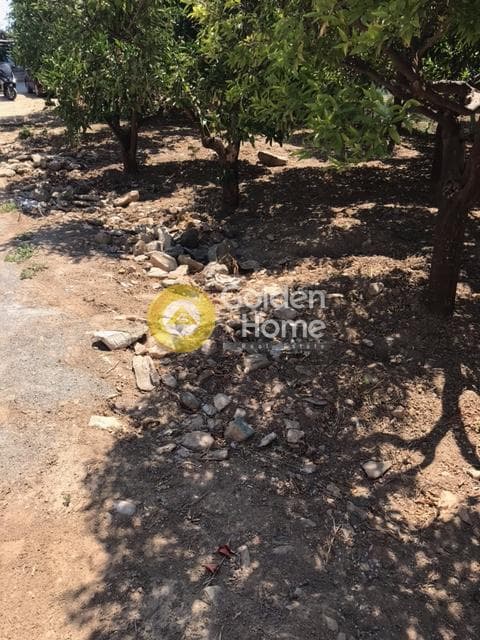 Οικόπεδο στην Παλαιόκαστρο, Γάζι — Φωτογραφία 1 από 11