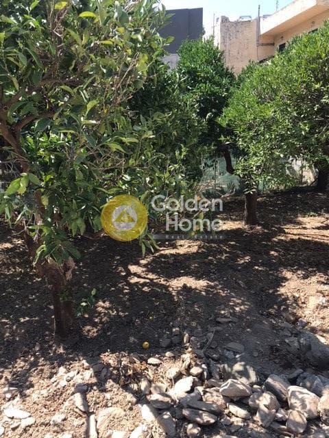 Οικόπεδο στην Παλαιόκαστρο, Γάζι — Φωτογραφία 7 από 11