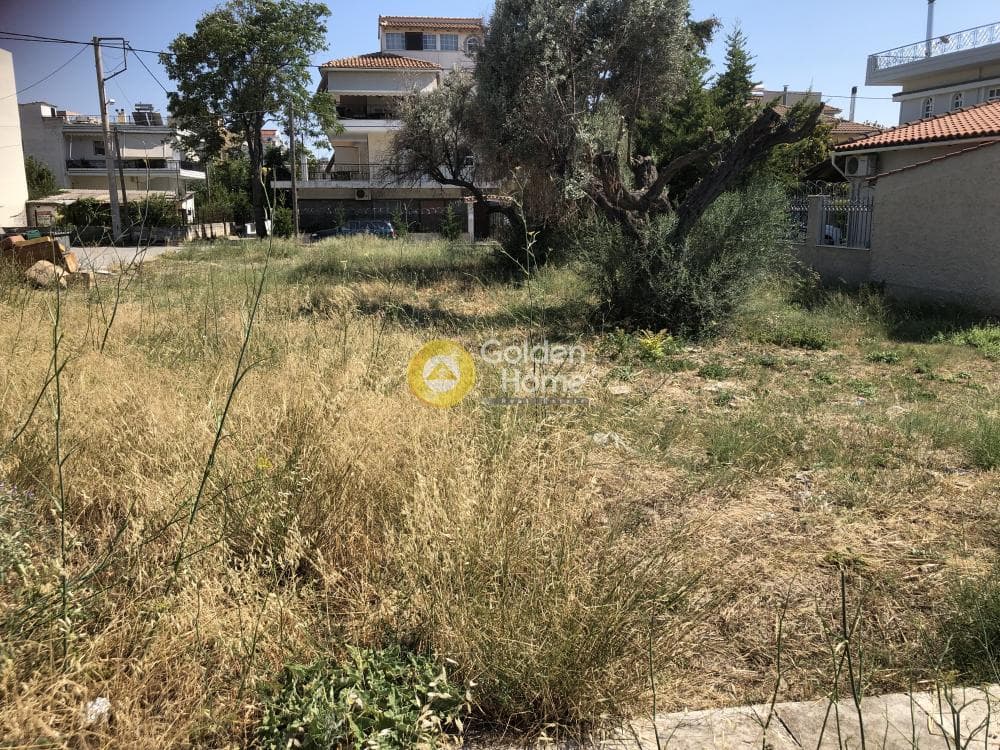 Οικόπεδο στην Πυργούθι, Αχαρνές — Φωτογραφία 3 από 4