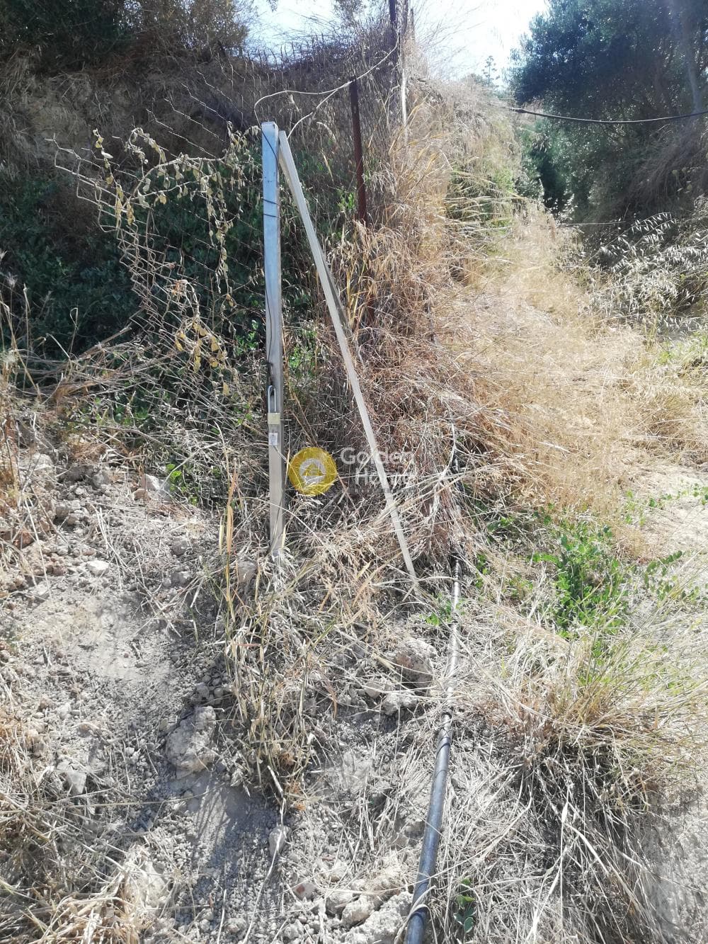 Building Plot in Elia, Episkopi — Photo 3 of 13