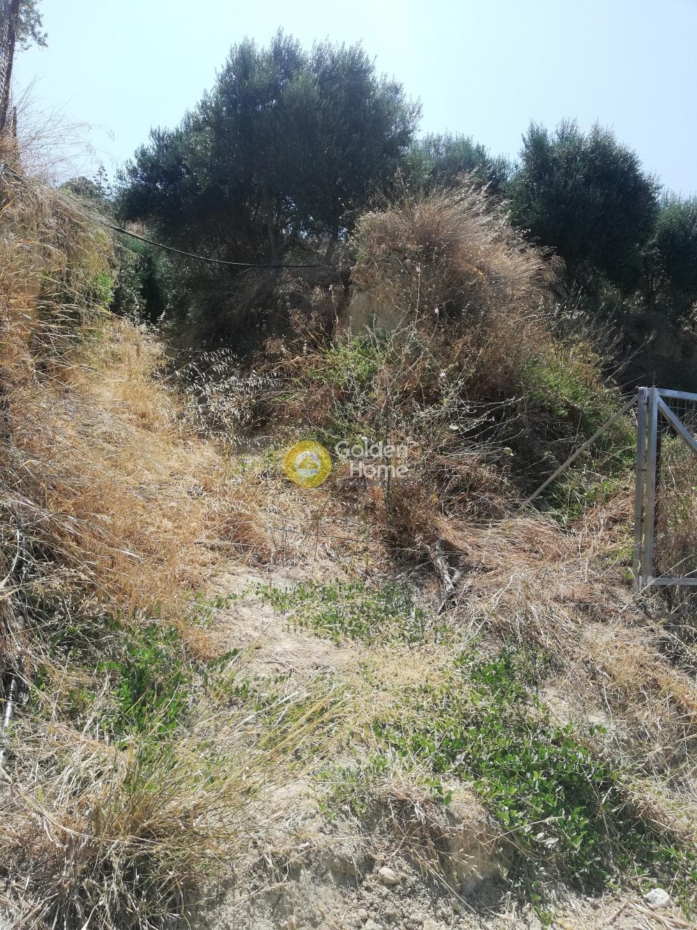 Building Plot in Elia, Episkopi — Photo 4 of 13