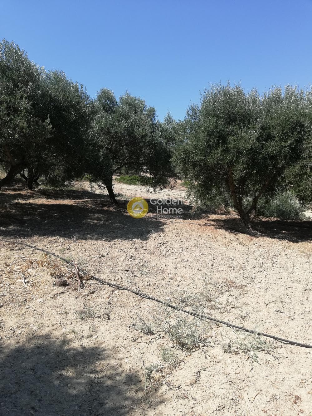 Building Plot in Elia, Episkopi — Photo 7 of 13