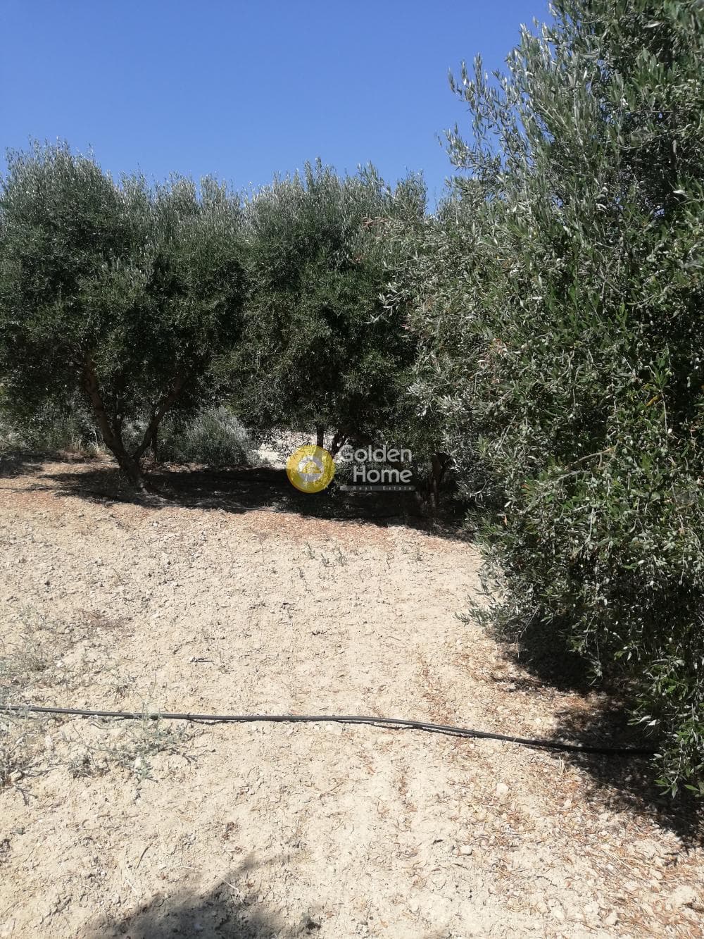 Building Plot in Elia, Episkopi — Photo 8 of 13