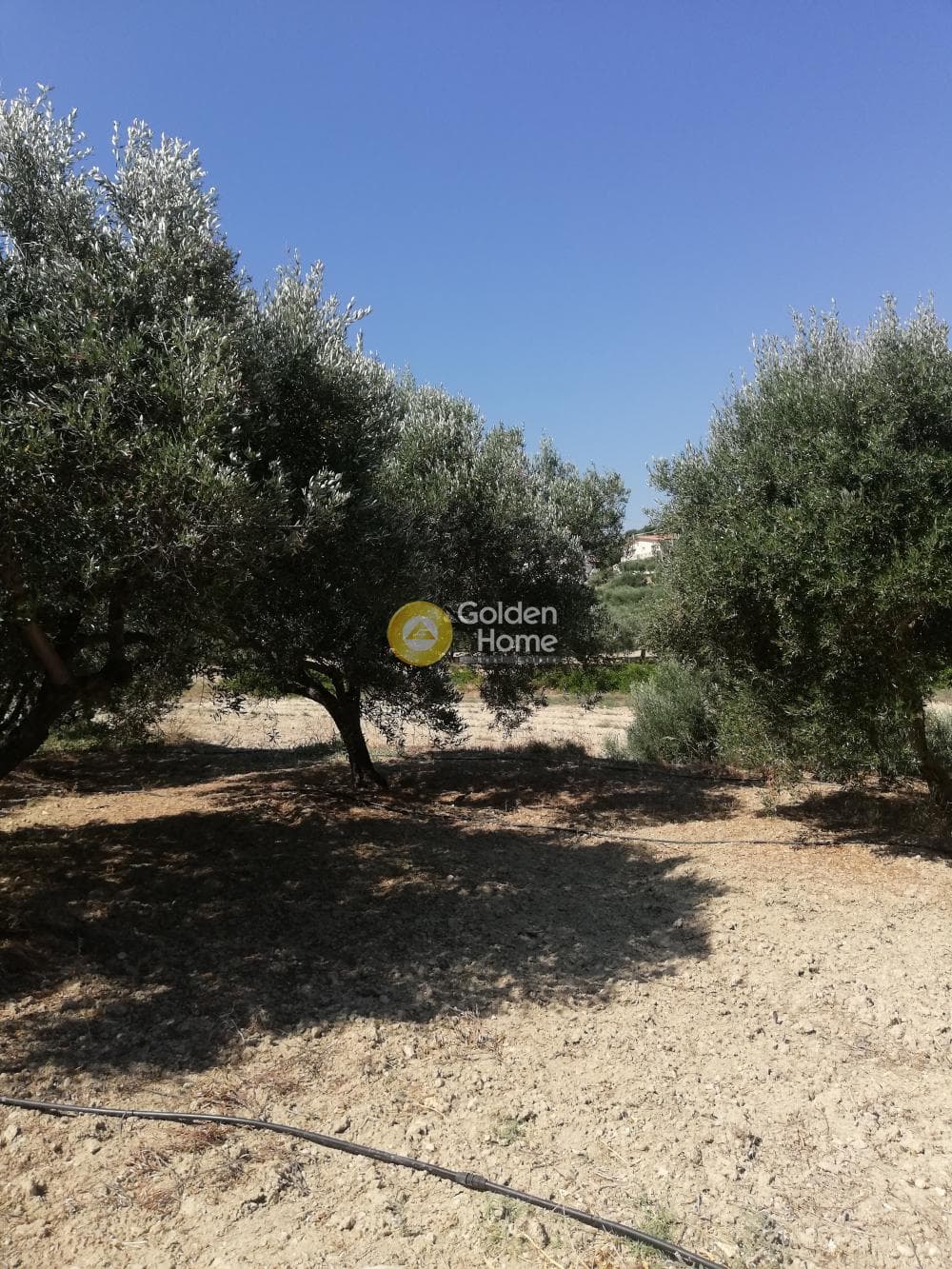 Building Plot in Elia, Episkopi — Photo 2 of 13
