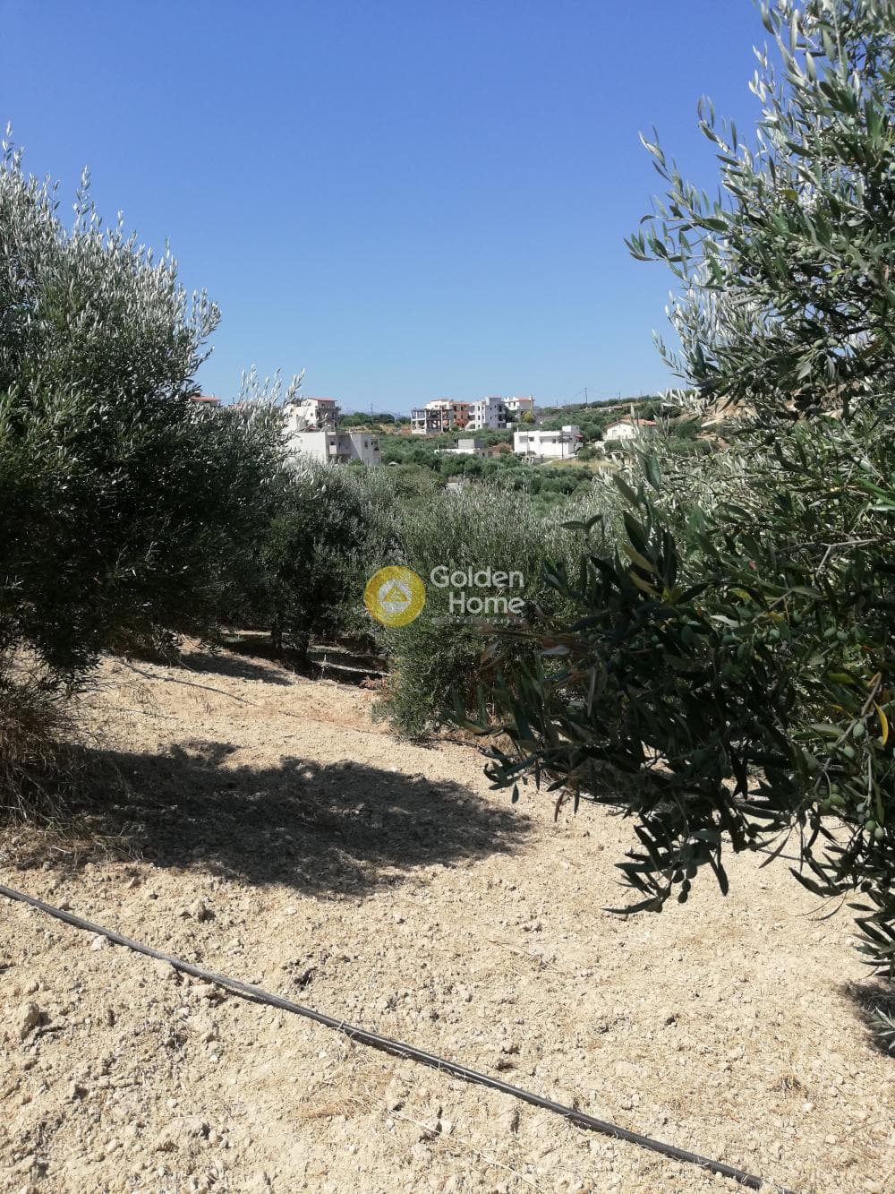 Building Plot in Elia, Episkopi — Photo 11 of 13