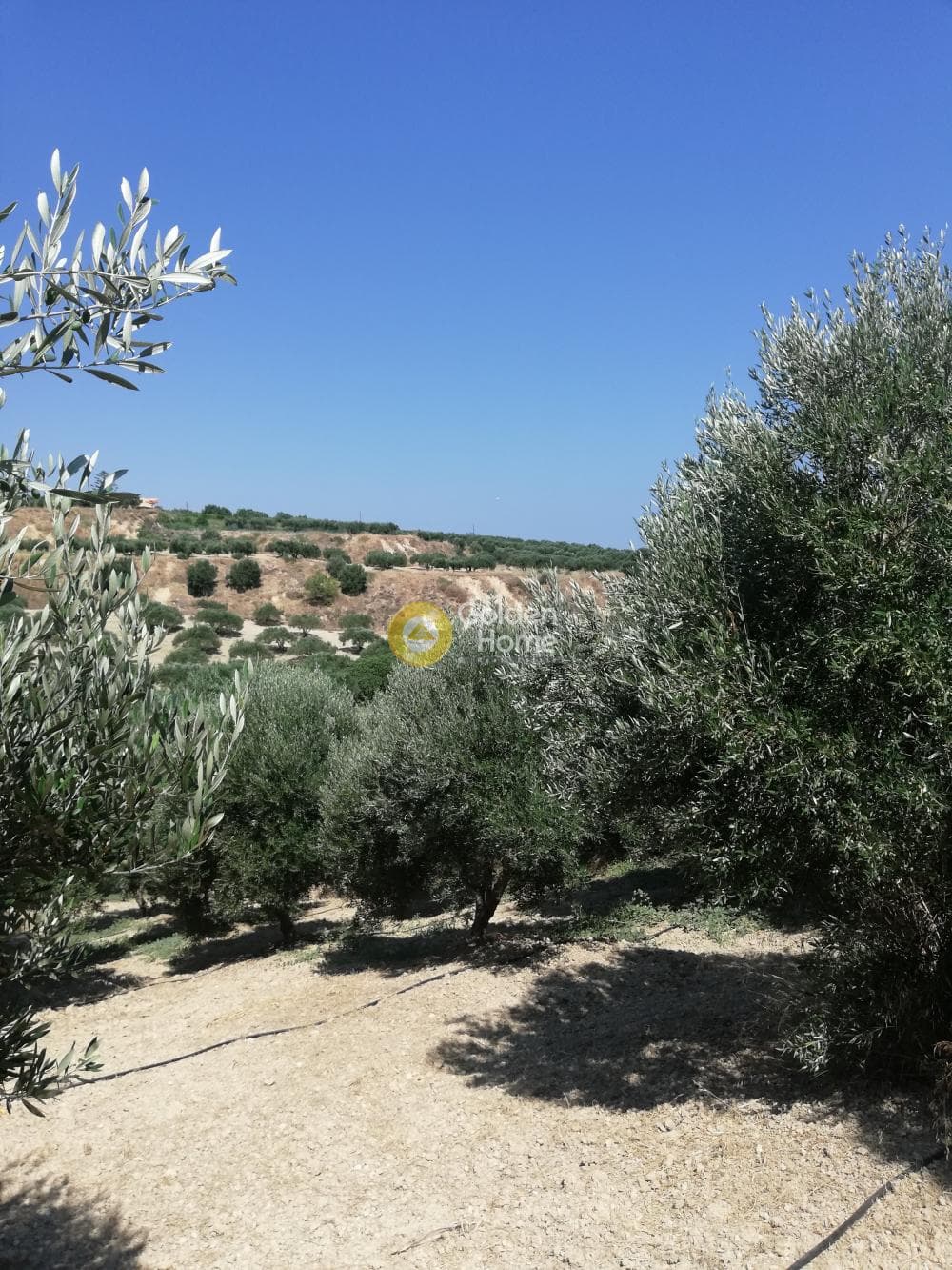 Building Plot in Elia, Episkopi — Photo 12 of 13