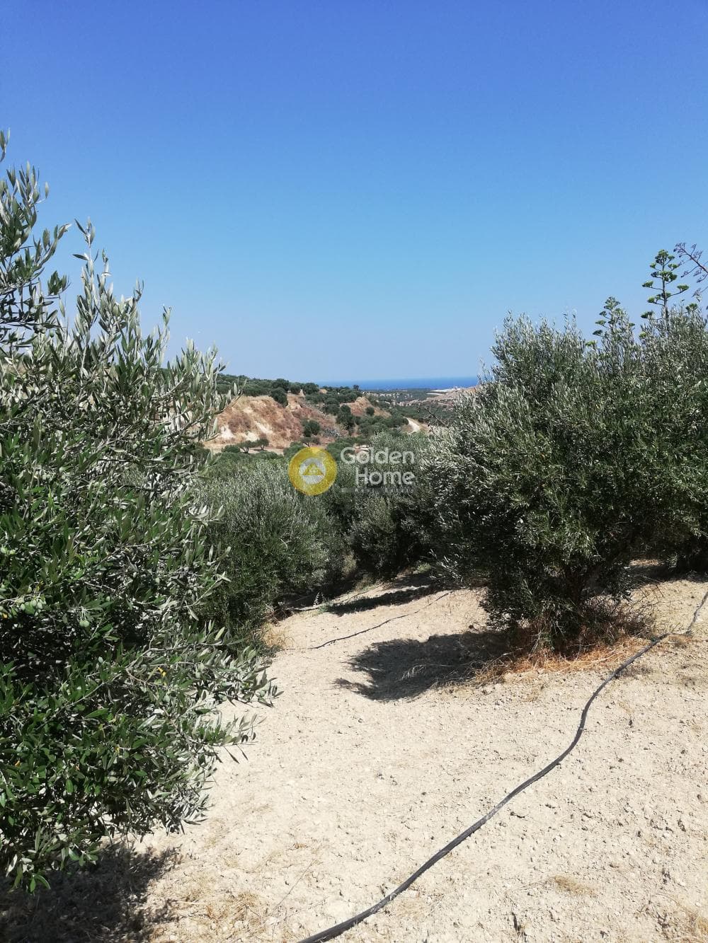 Building Plot in Elia, Episkopi — Photo 13 of 13
