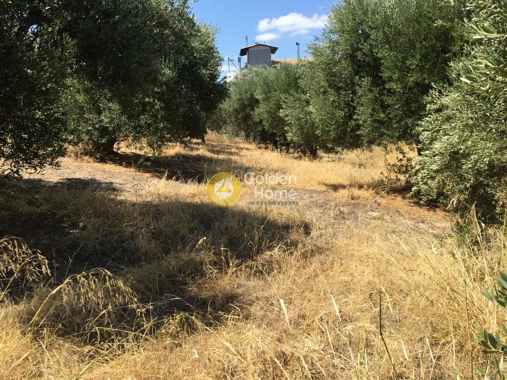 Building Plot in Gournes, Temenos — Photo 1 of 5