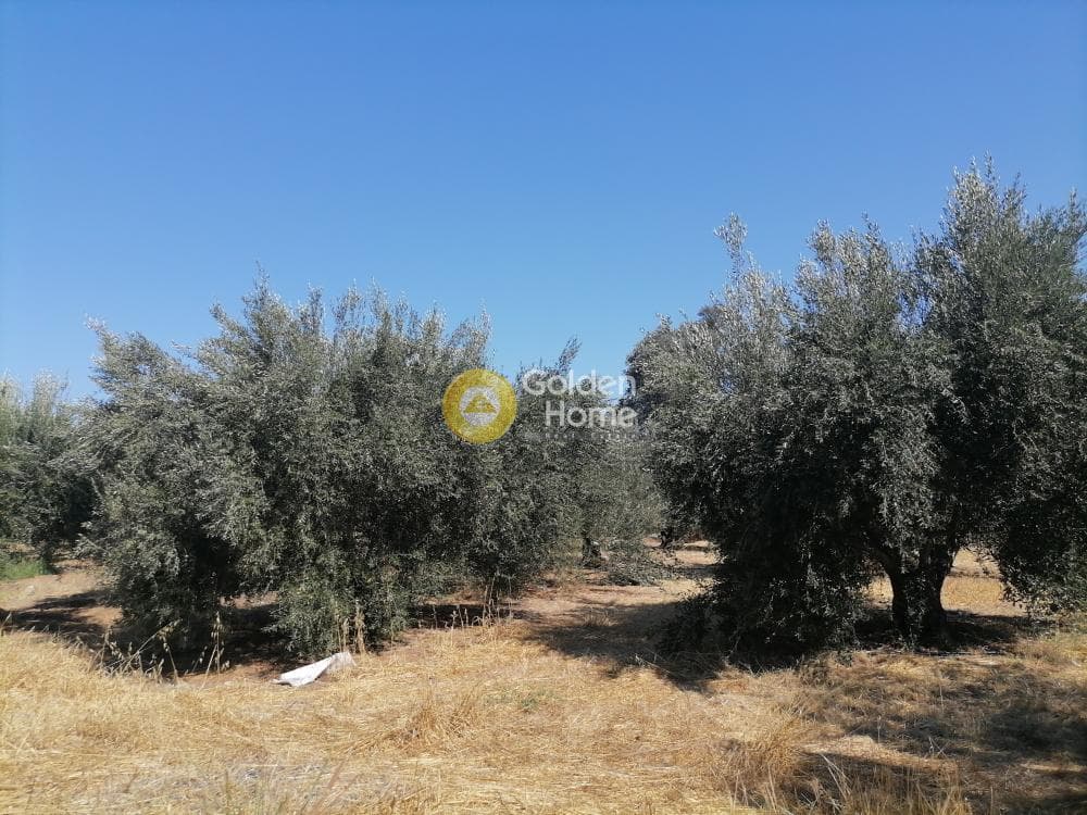 Οικόπεδο στην Κουσές, Μοίρες — Φωτογραφία 1 από 6