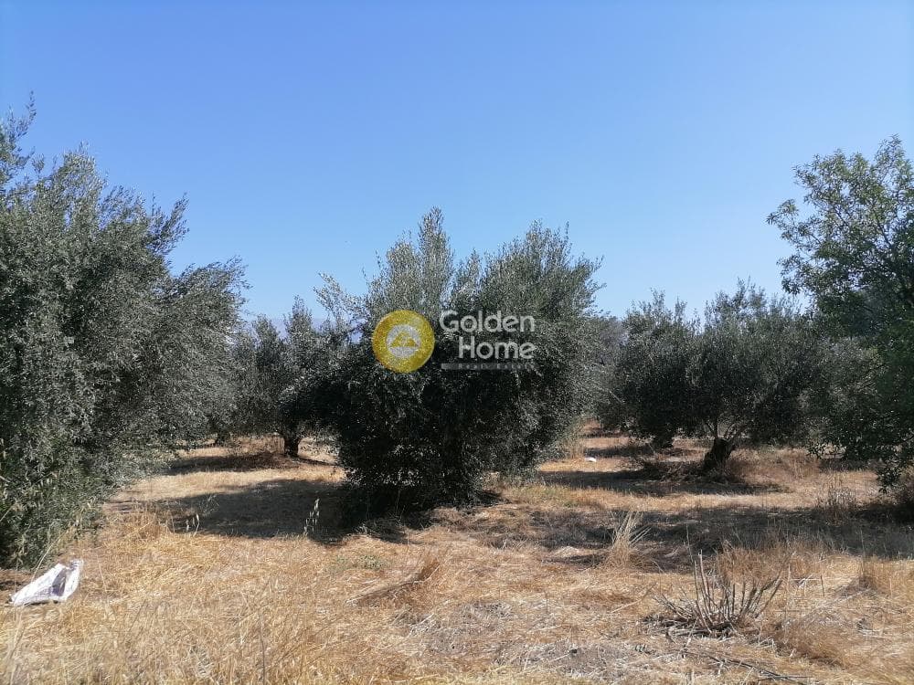 Οικόπεδο στην Κουσές, Μοίρες — Φωτογραφία 3 από 6