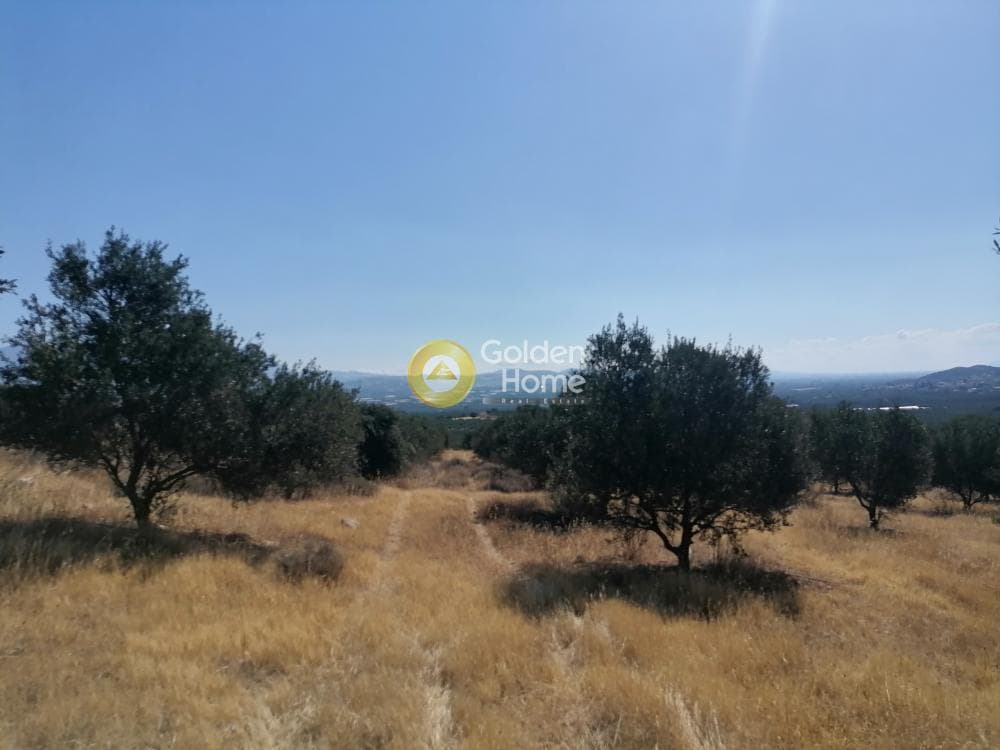 Οικόπεδο στην Λίσταρος, Μοίρες — Φωτογραφία 1 από 23
