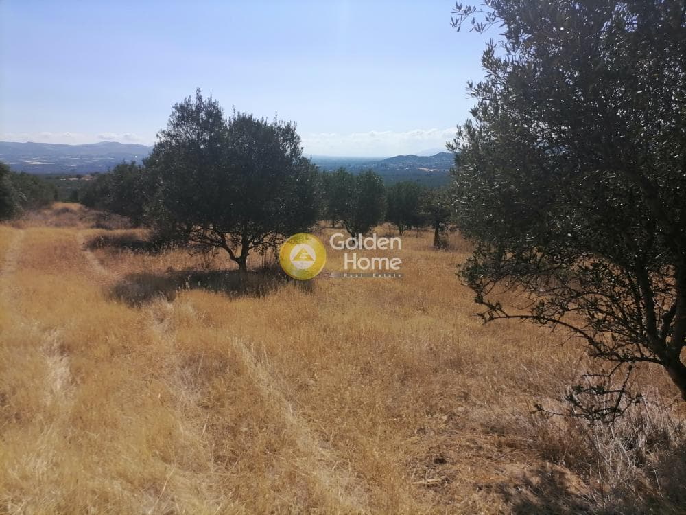 Οικόπεδο στην Λίσταρος, Μοίρες — Φωτογραφία 3 από 23