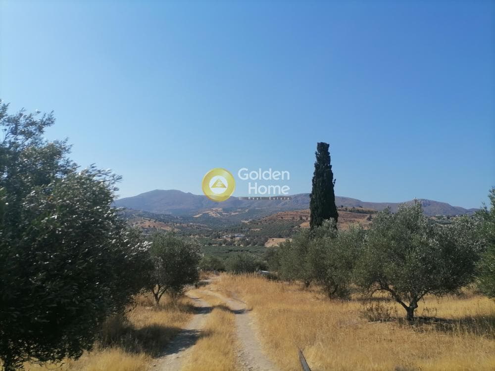 Οικόπεδο στην Λίσταρος, Μοίρες — Φωτογραφία 4 από 23