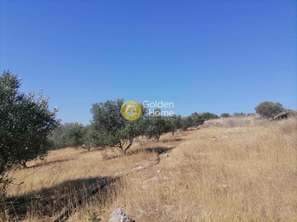 Οικόπεδο στην Λίσταρος, Μοίρες — Φωτογραφία 5 από 23