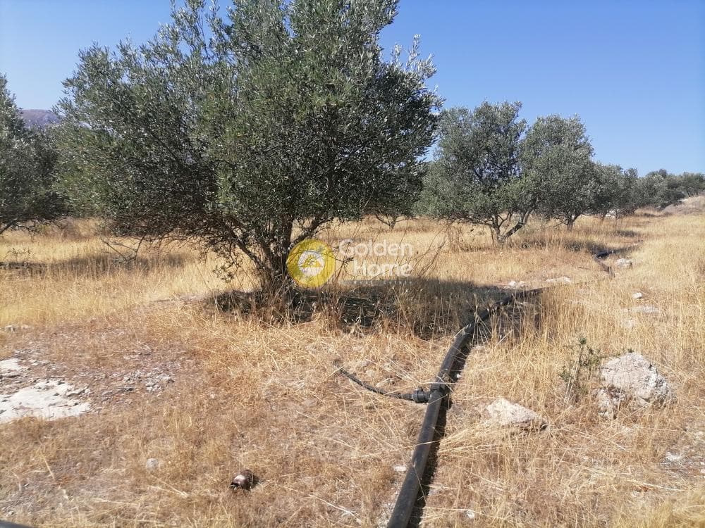Οικόπεδο στην Λίσταρος, Μοίρες — Φωτογραφία 10 από 23